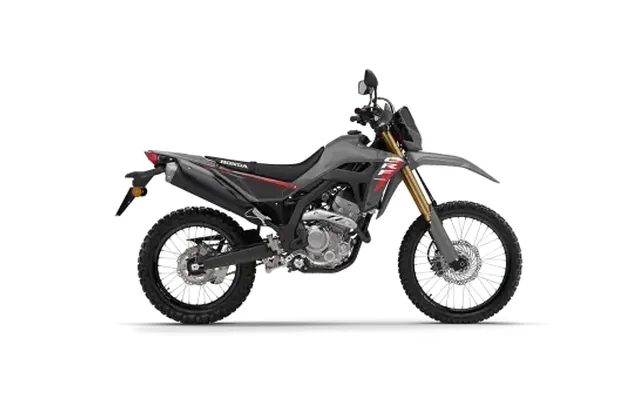 Honda CRF300L